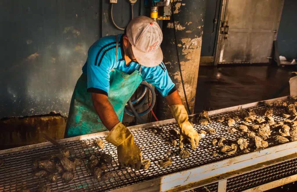 PRESTIGE OYSTERS Texas and Louisiana Private Oyster Fishery