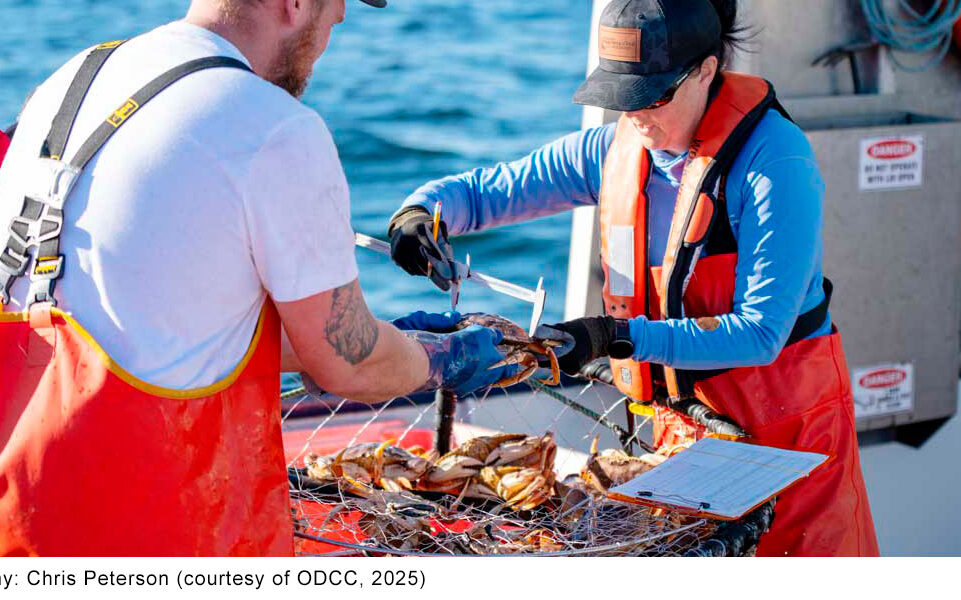 ODCC & FSS Launch 2025 MSC Certification Outreach for Dungeness Crab Fisheries