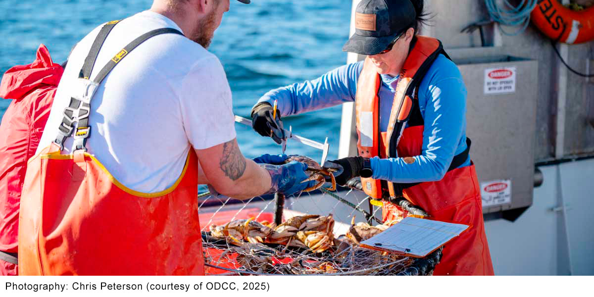 ODCC & FSS Launch 2025 MSC Certification Outreach for Dungeness Crab Fisheries ODCC & FSS Launch 2025 MSC Certification Outreach for Dungeness Crab Fisheries