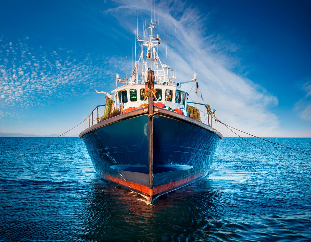 Driving Global Sustainability: ForSea Solutions’ Ongoing Commitment