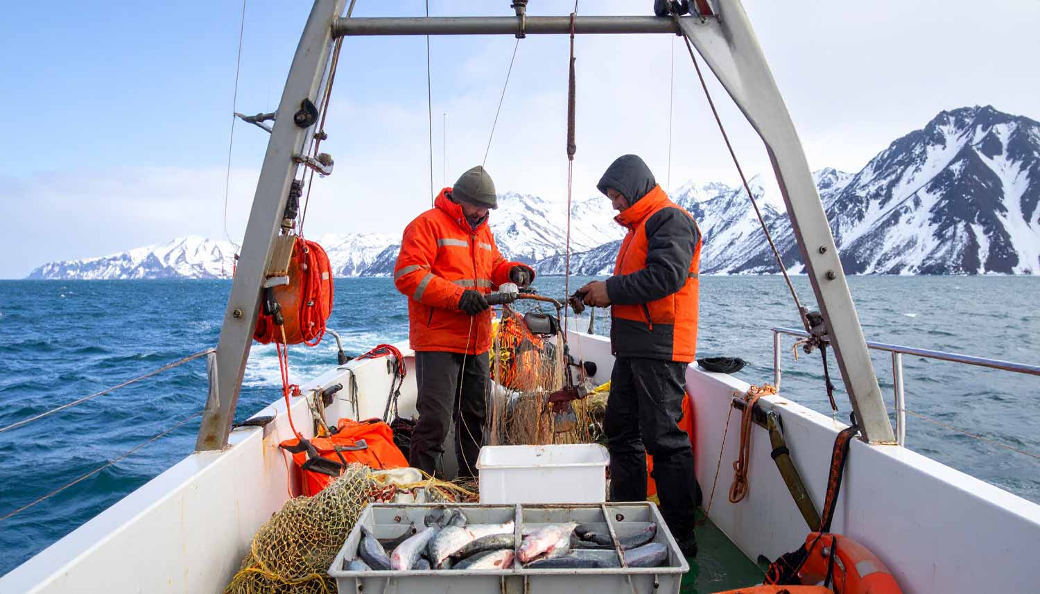 MSC Certification: A Success Story from Kamchatka Fisheries 2