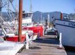 Join the Conversation: MSC Open Forum with the Dungeness Crab Community