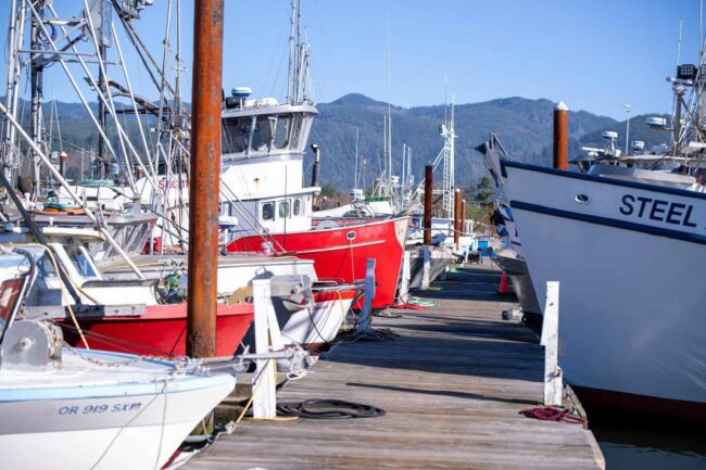 Join the Conversation: MSC Open Forum with the Dungeness Crab Community