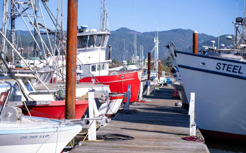 Join the Conversation: MSC Open Forum with the Dungeness Crab Community