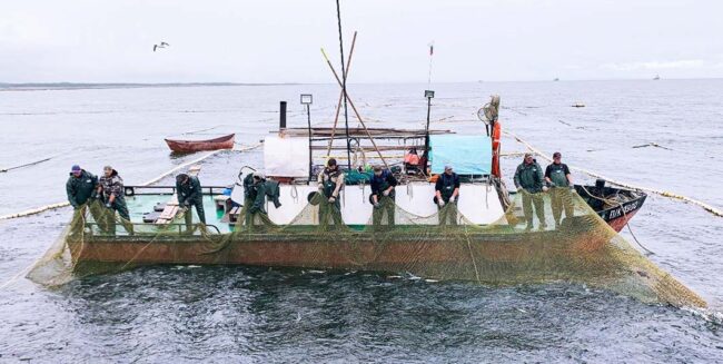 Seafood Responsibility = Business Sustainability Heres What That Actually Means / Photography: ForSea Solutions